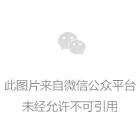 湖南省委组织部人才处处长谢忠阳一行莅临湖南湘辉指导工作